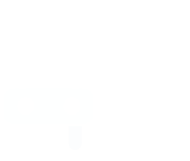 Home Auto Insurance